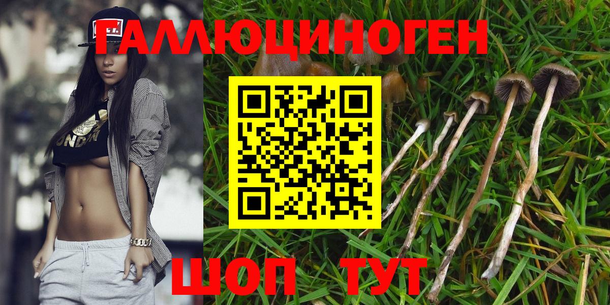 что такое наркотик  Псилоцибиновые грибы Psilocybe  Вход с VPN  Галлюциногенные грибы мухоморы  Новосибирск 