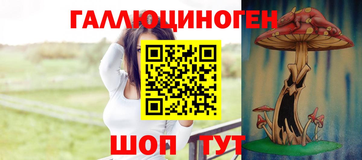 Галлюциногенные грибы прущие грибы Новосибирск